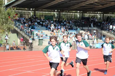 The Forest High School - foto 9