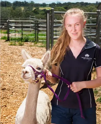 MOUNT BARKER HIGH SCHOOL - foto 19