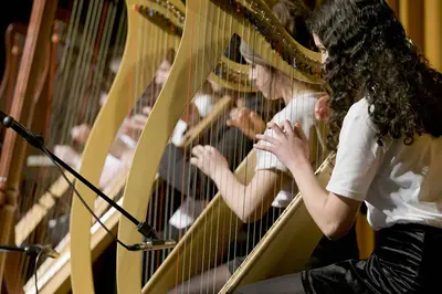 Strathmore High School - foto 4