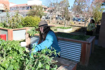 LAKE TUGGERANONG COLLEGE - foto 10